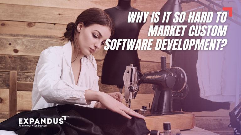 Why it is So Hard to Market & Sell Custom Software Development & What Can You Do About it? Why it is So Hard to Market & Sell Custom Software Development & What Can You Do About it?
