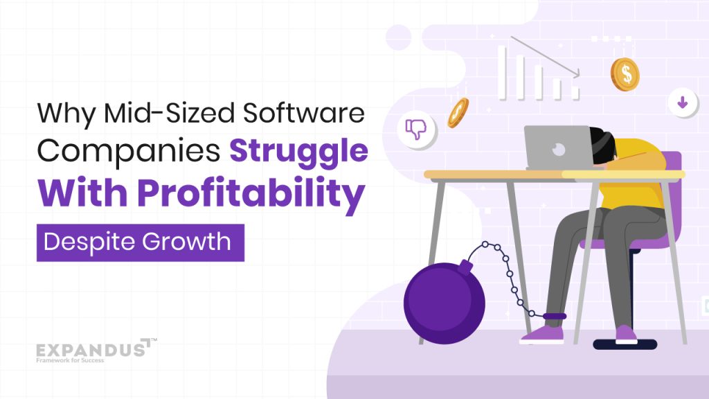 Why Mid-Sized Software Companies Struggle With Profitability Despite Growth Why Mid-Sized Software Companies Struggle With Profitability Despite Growth