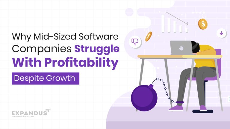 Why Mid-Sized Software Companies Struggle With Profitability Despite Growth Why Mid-Sized Software Companies Struggle With Profitability Despite Growth
