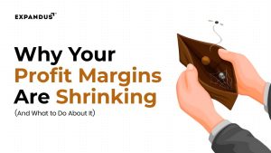Why Your Profit Margins Are Shrinking And What to Do About It